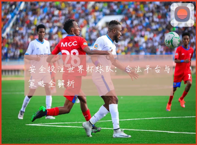 安全投注世界杯球队:合法平台与策略全解析