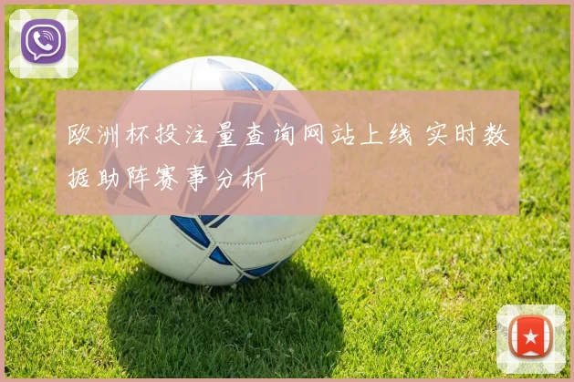 欧洲杯投注量查询网站上线 实时数据助阵赛事分析
