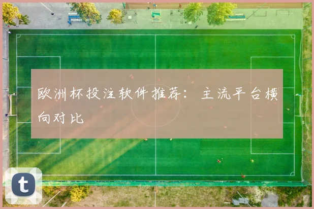 欧洲杯投注软件推荐:主流平台横向对比