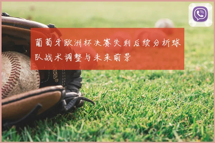 葡萄牙欧洲杯决赛失利后续分析球队战术调整与未来前景