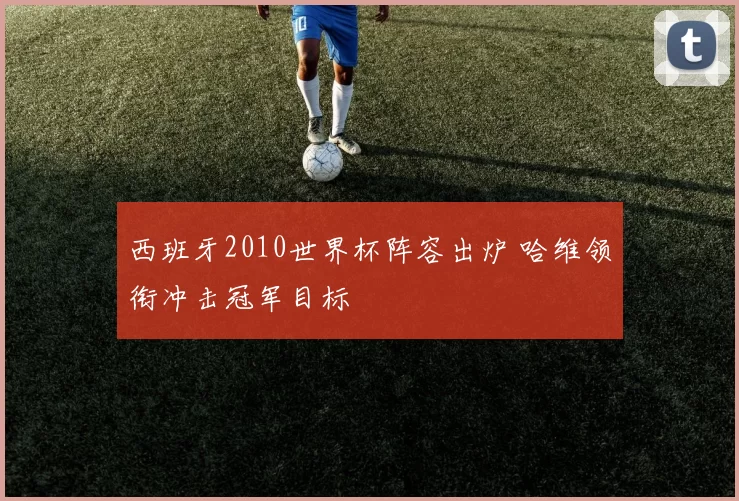 西班牙2010世界杯阵容出炉 哈维领衔冲击冠军目标