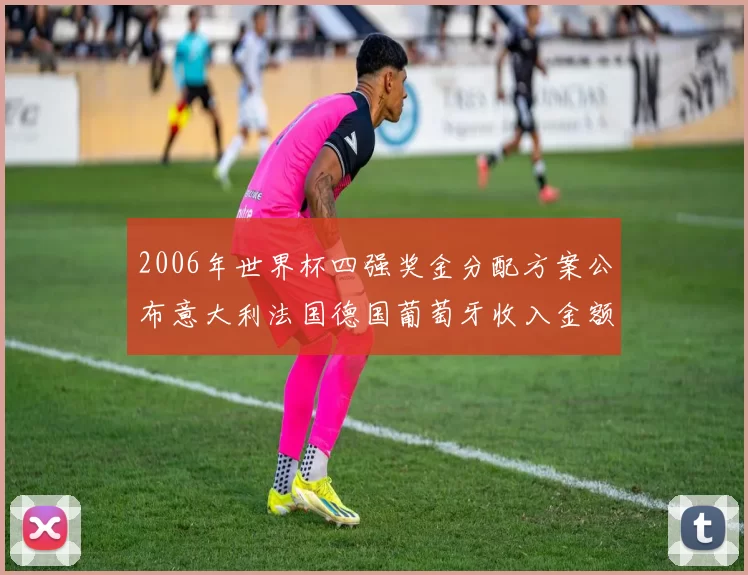 2006年世界杯四强奖金分配方案公布意大利法国德国葡萄牙收入金额