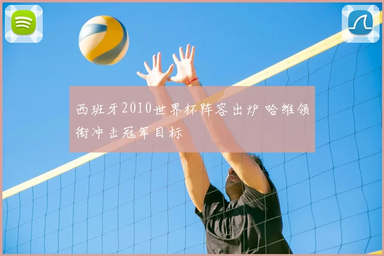 西班牙2010世界杯阵容出炉 哈维领衔冲击冠军目标